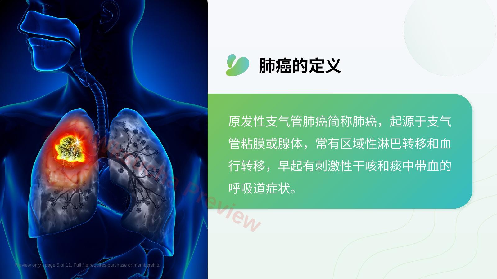 预览第 5 页