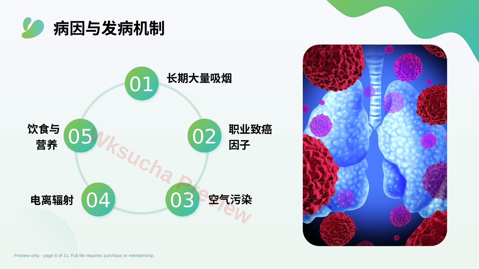 预览第 6 页