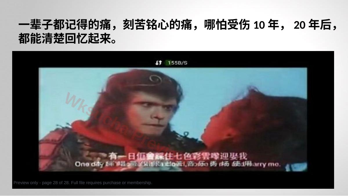 预览第 28 页