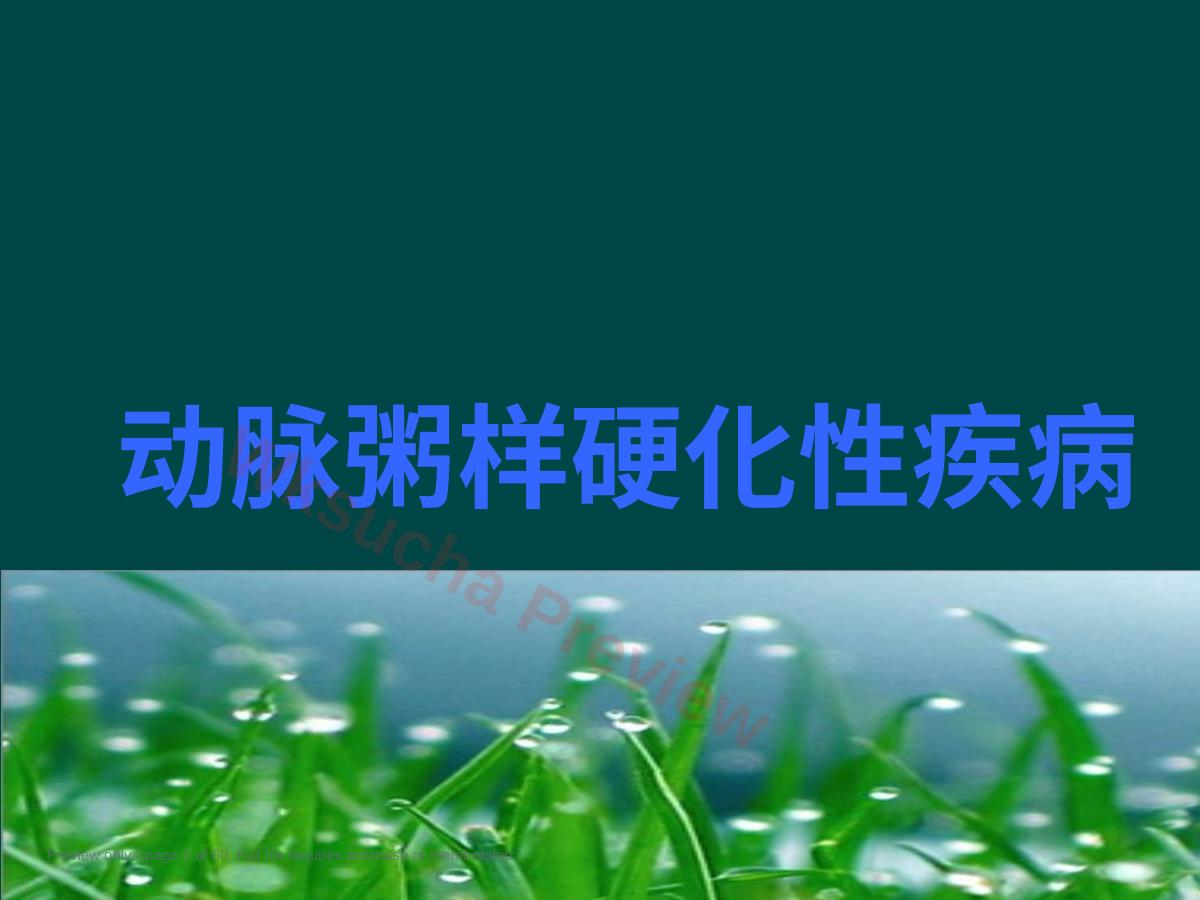 预览第 3 页