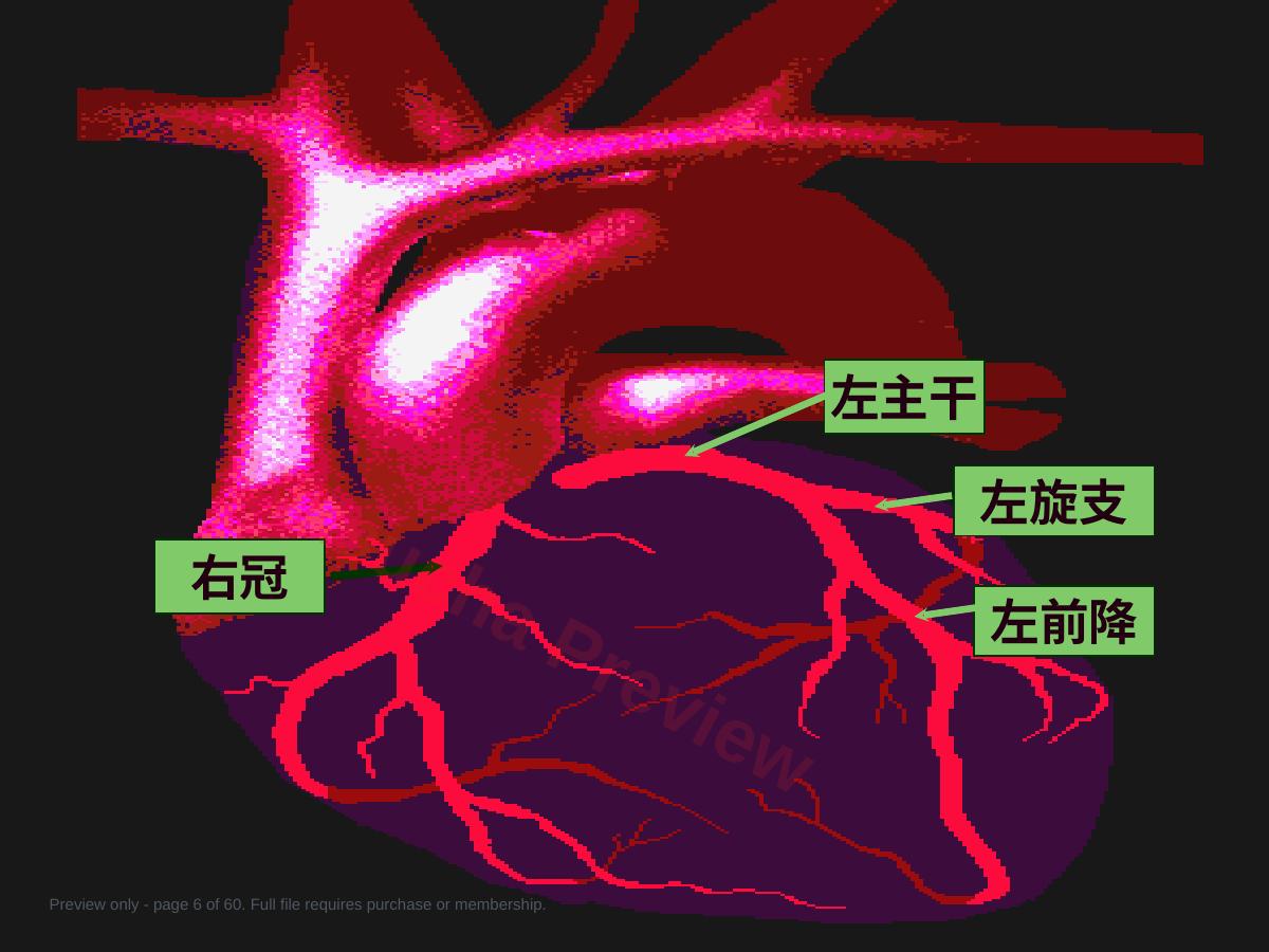 预览第 6 页