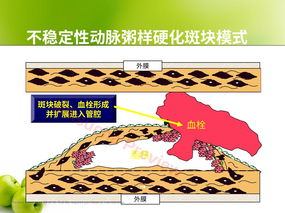 预览第 39 页