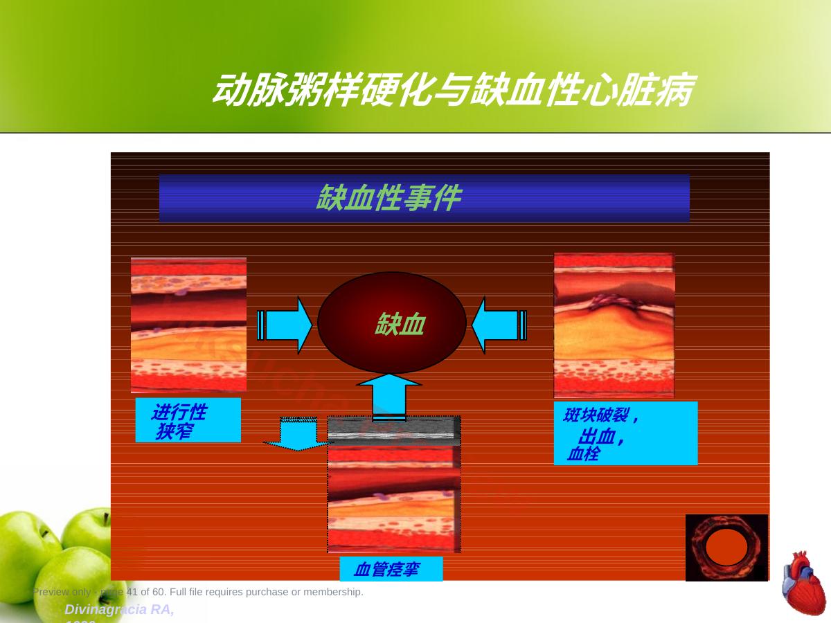 预览第 41 页