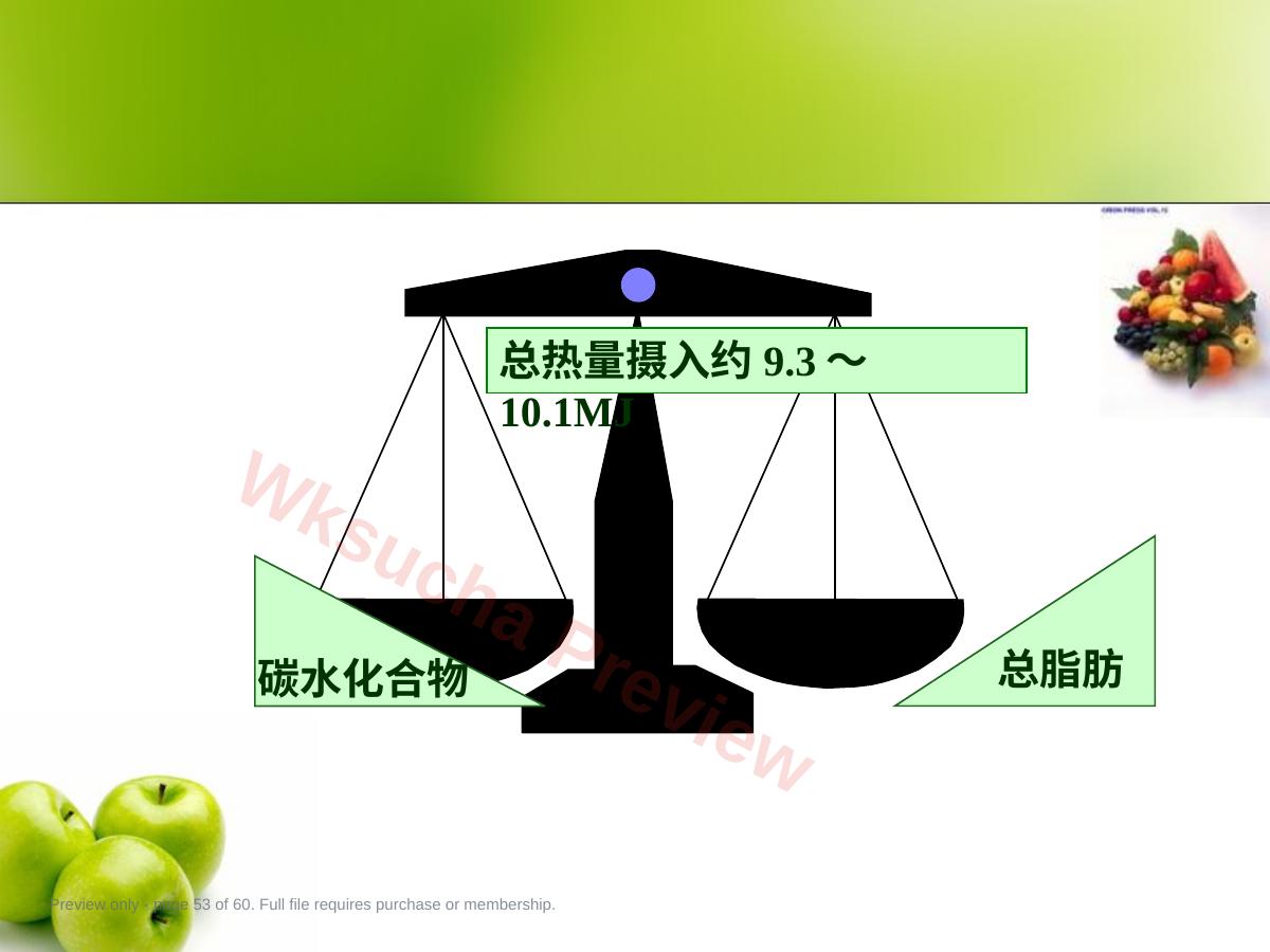 预览第 53 页