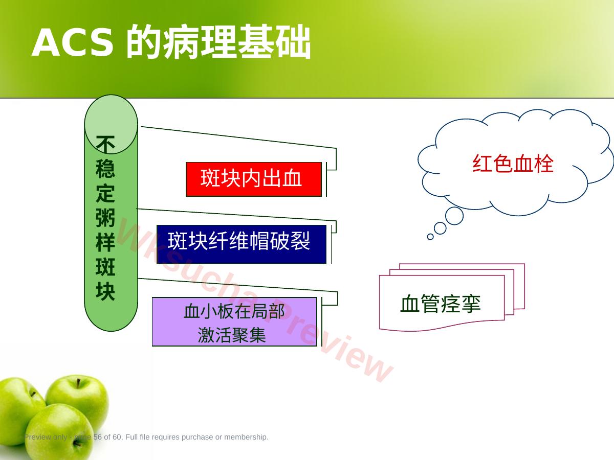 预览第 56 页