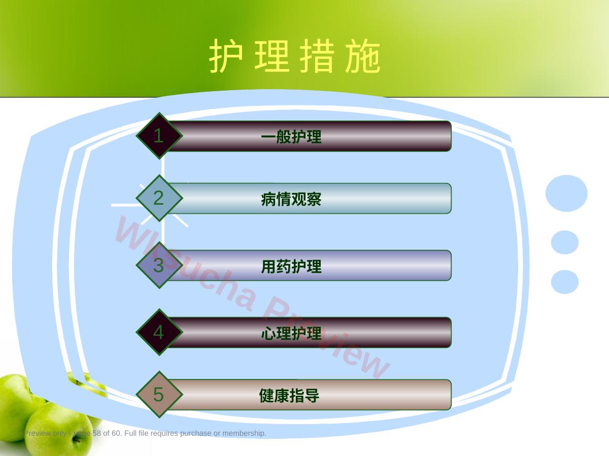 预览第 58 页