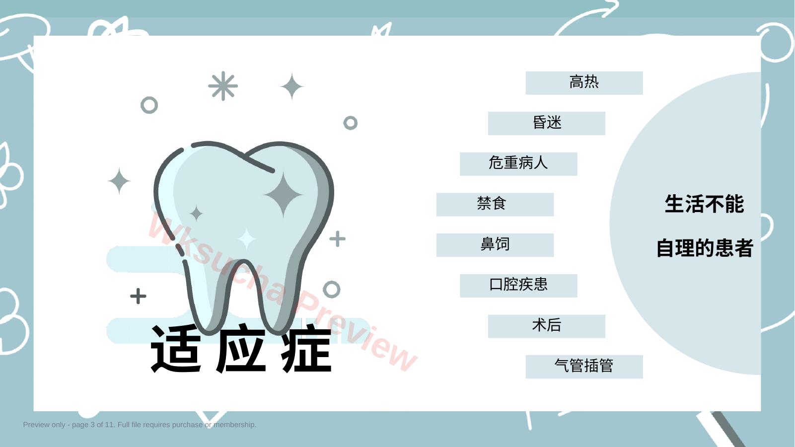 预览第 3 页
