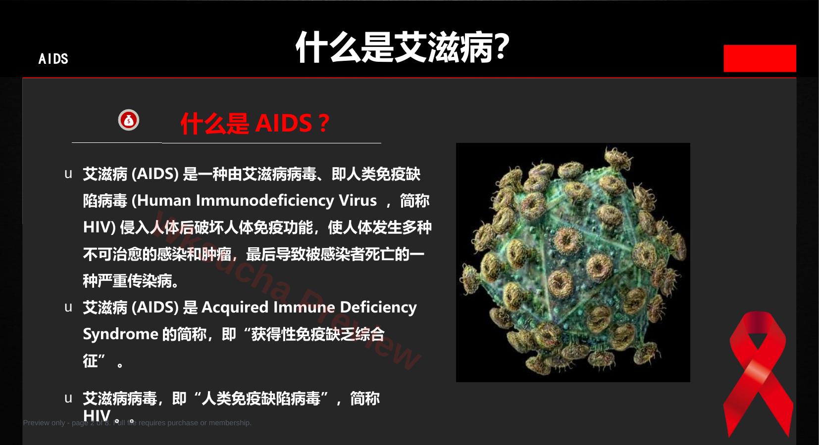 预览第 2 页