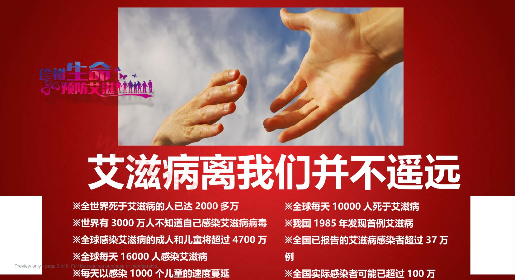 预览第 3 页