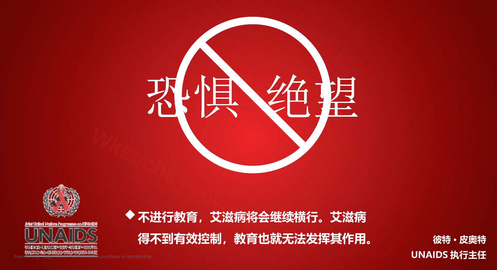 预览第 4 页