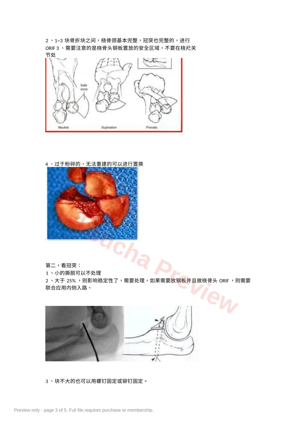 预览第 3 页