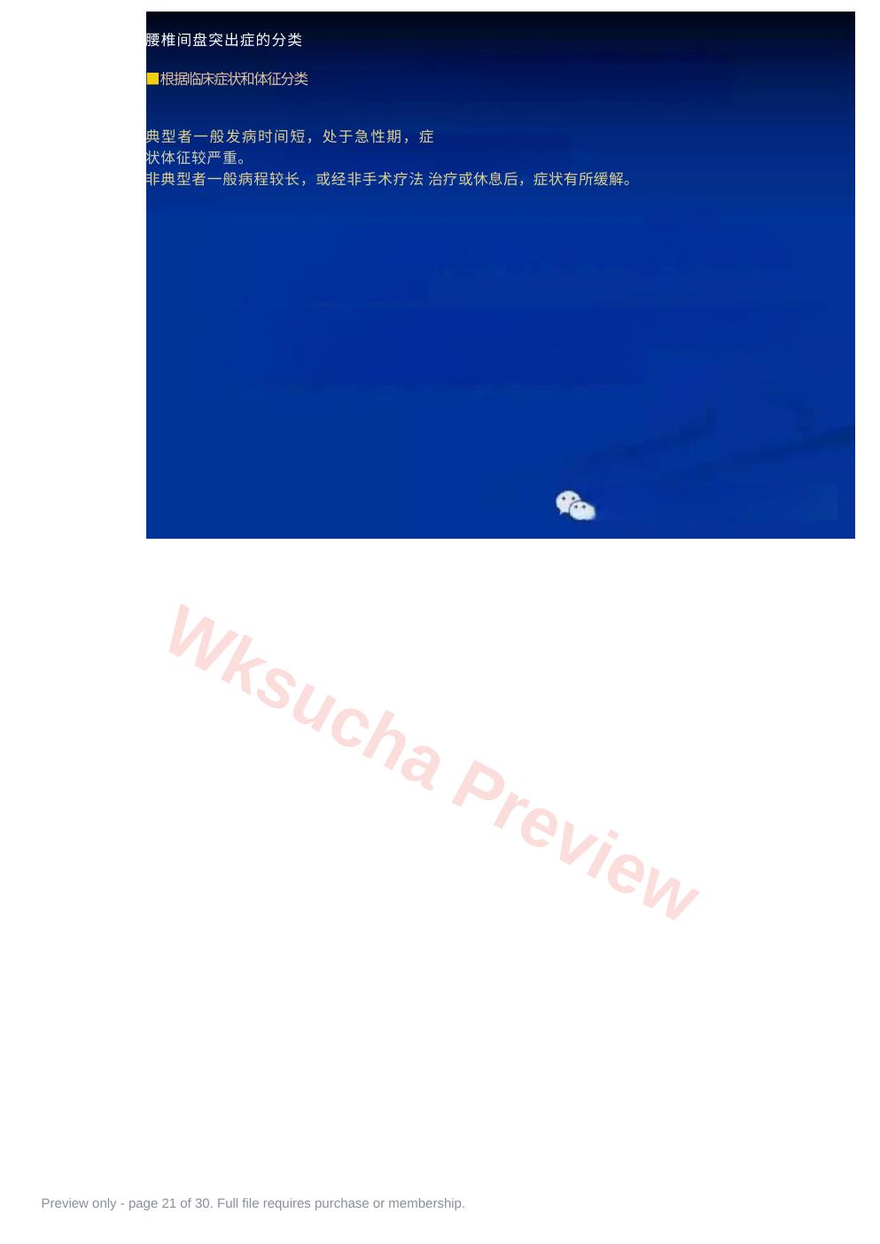 预览第 21 页