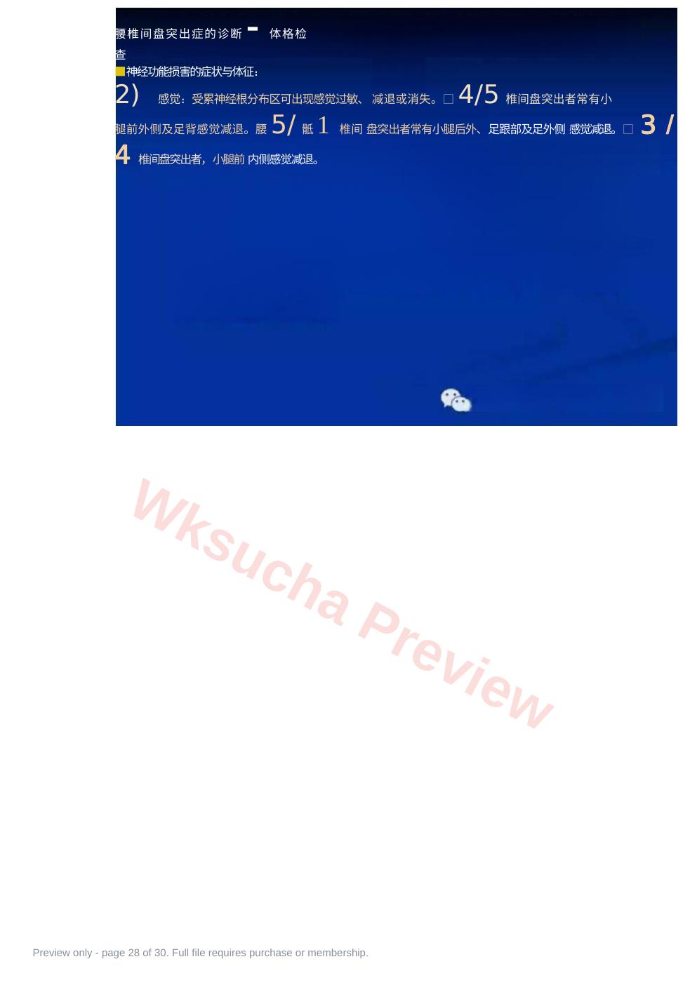 预览第 28 页
