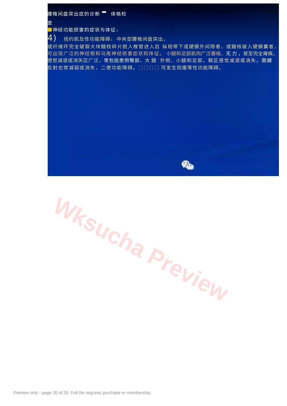 预览第 30 页