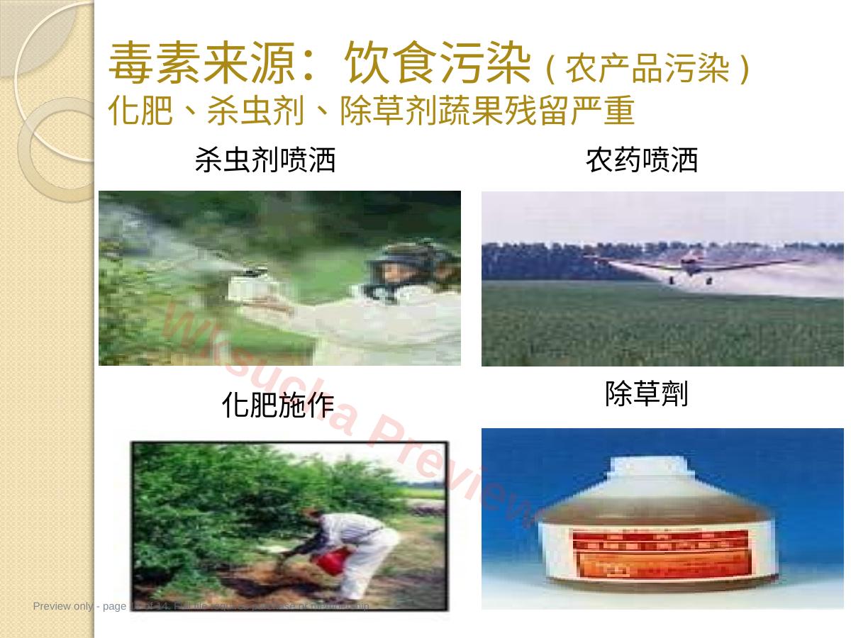 预览第 11 页