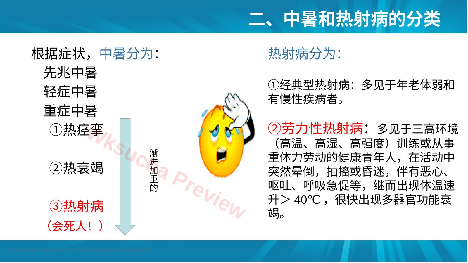 预览第 3 页