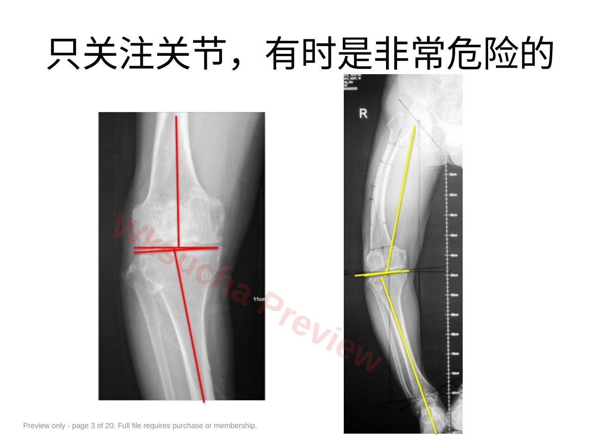 预览第 3 页