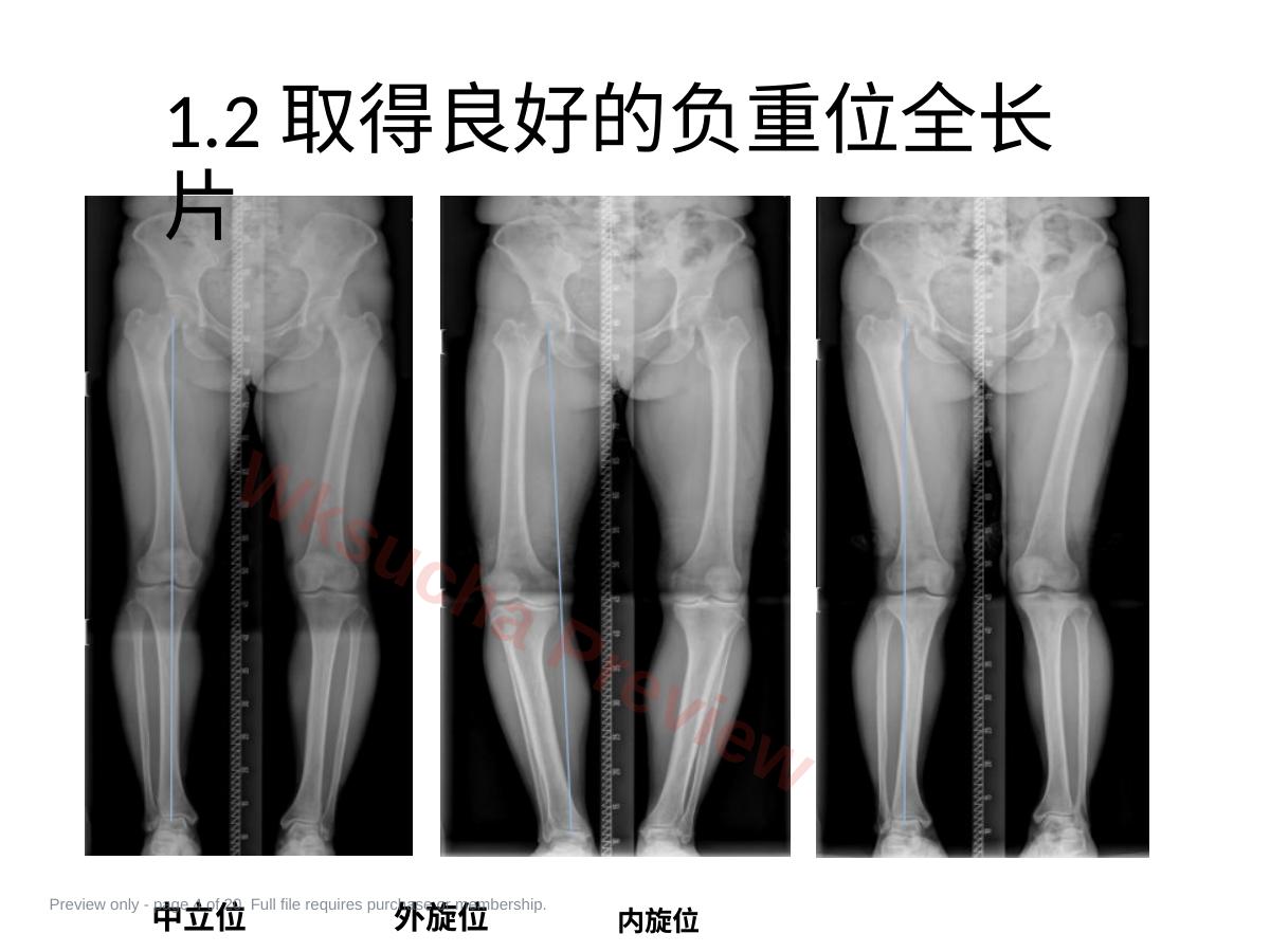 预览第 4 页