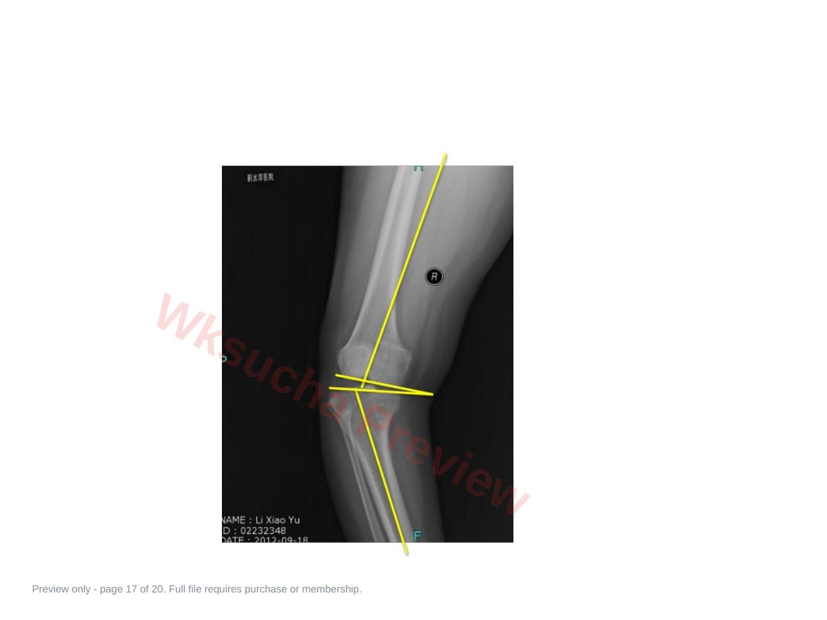 预览第 17 页