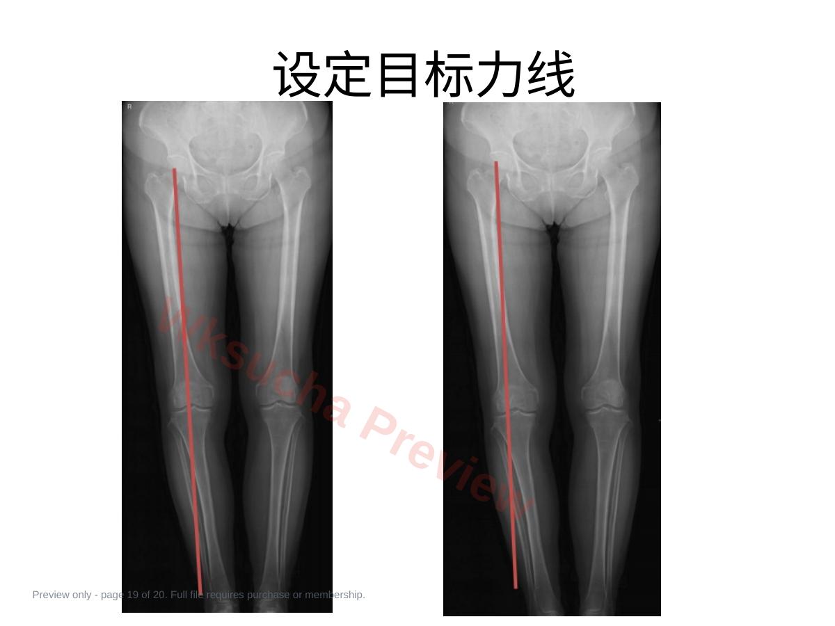 预览第 19 页