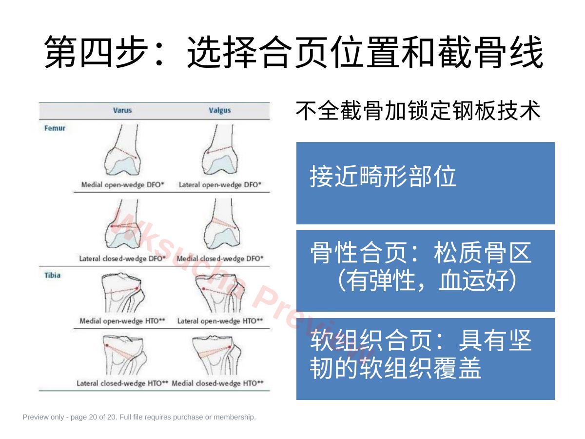 预览第 20 页