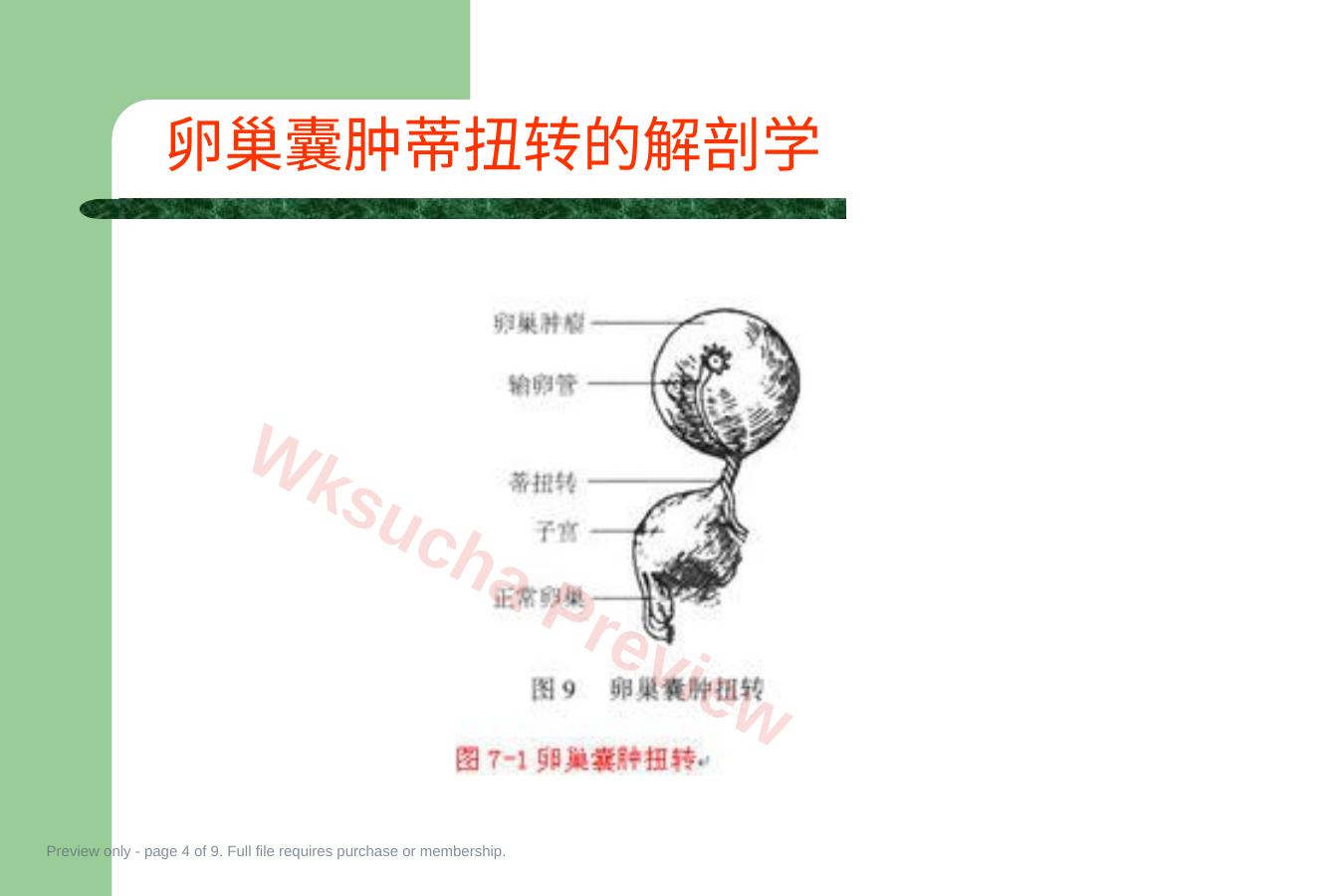 预览第 4 页