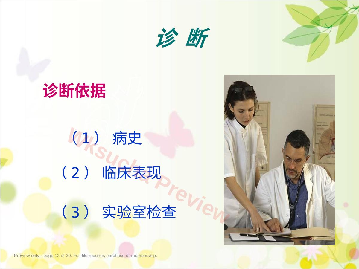 预览第 12 页