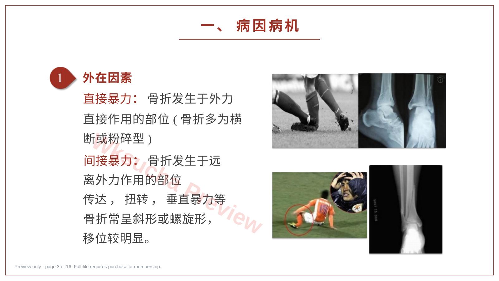 预览第 3 页
