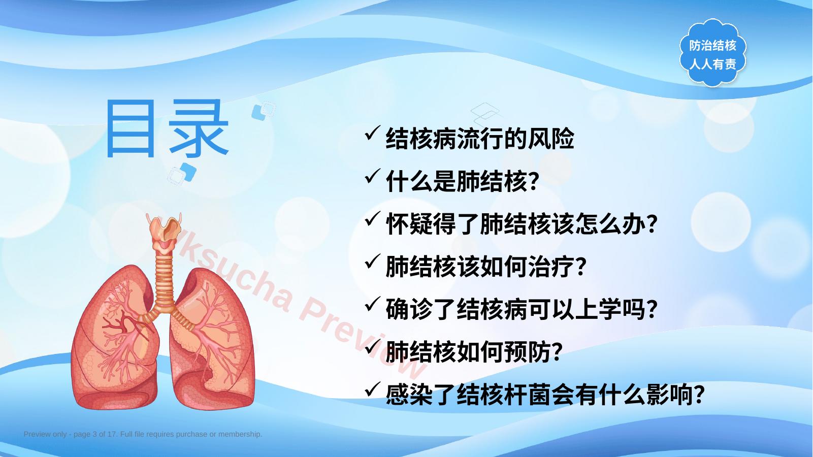 预览第 3 页