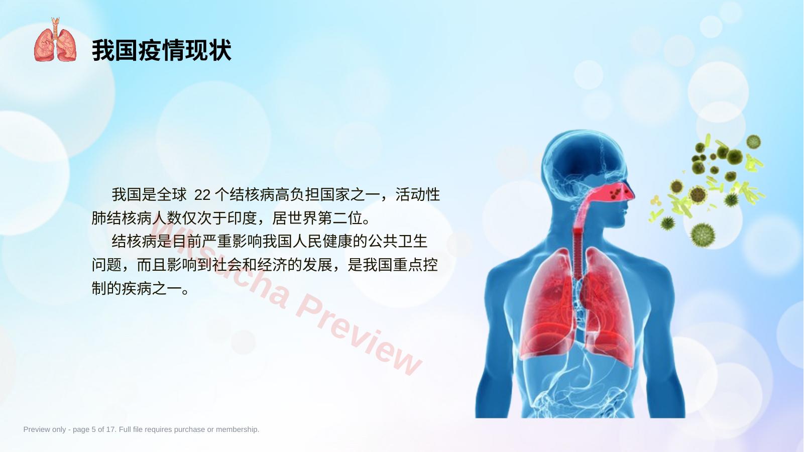 预览第 5 页
