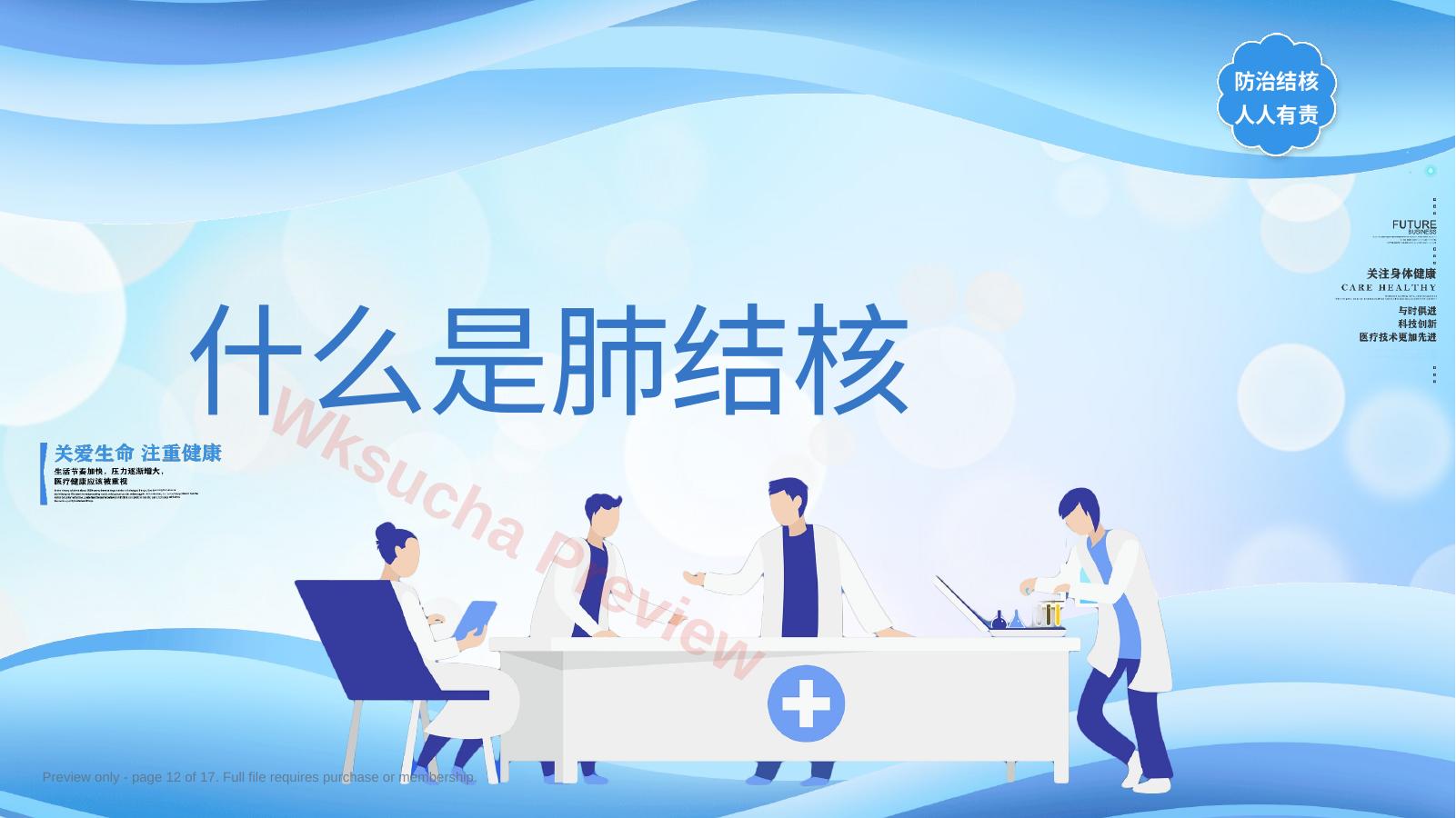 预览第 12 页
