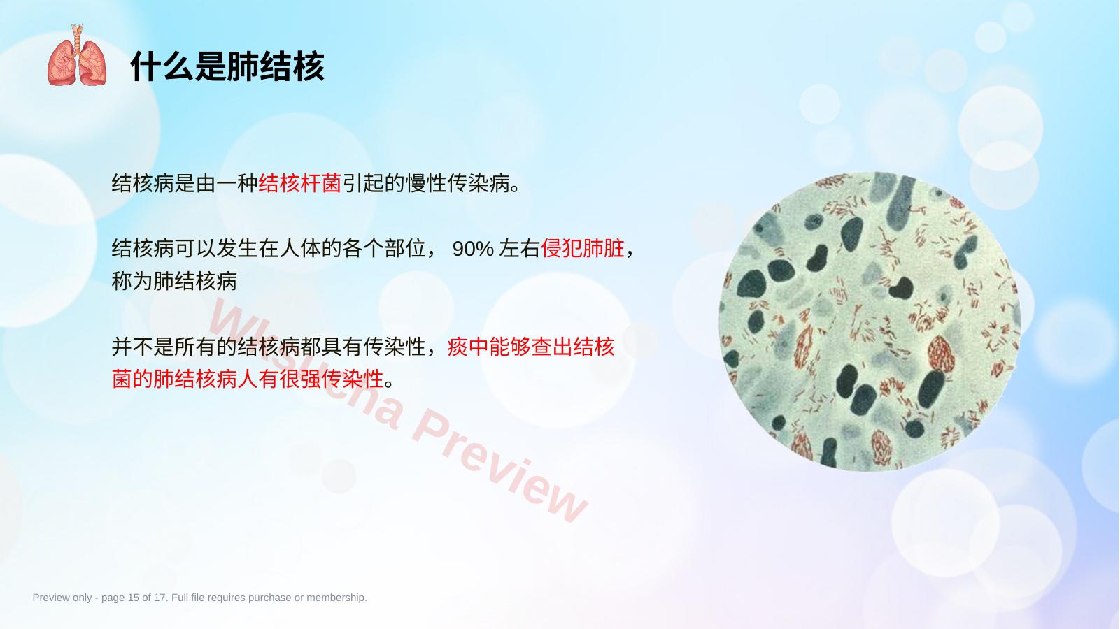 预览第 15 页