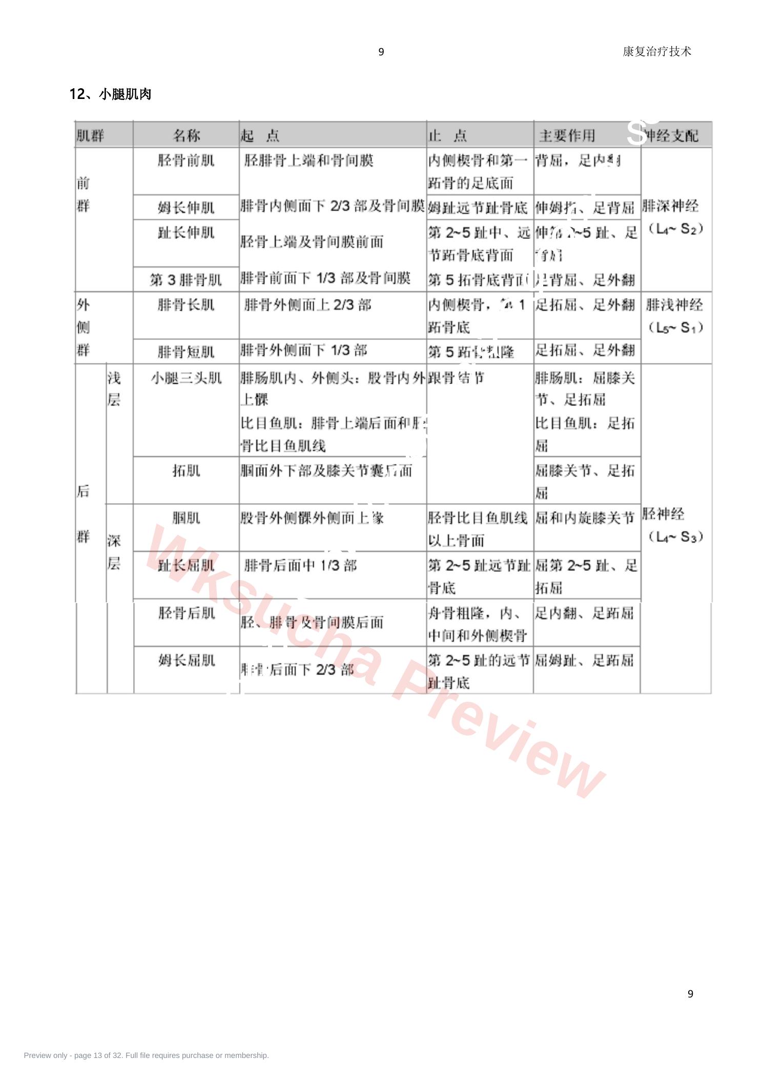 预览第 13 页