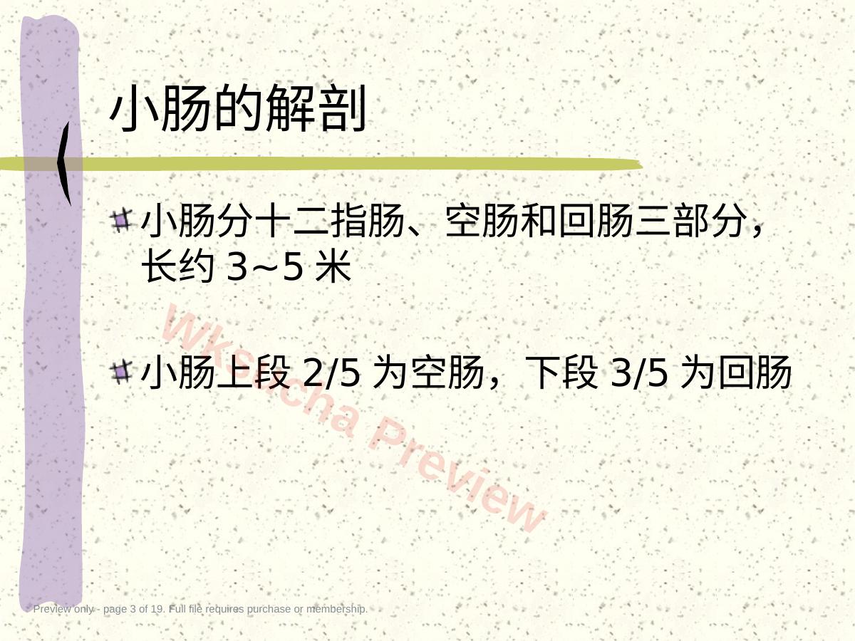 预览第 3 页