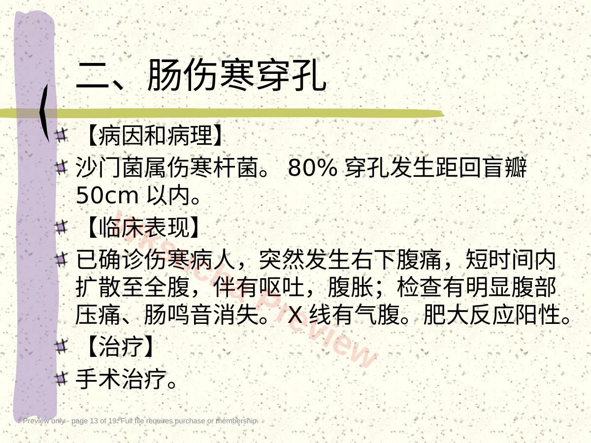 预览第 13 页