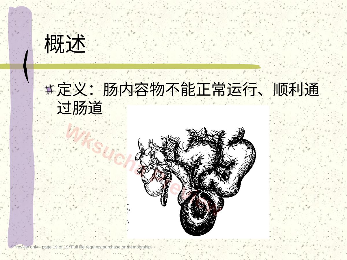 预览第 19 页