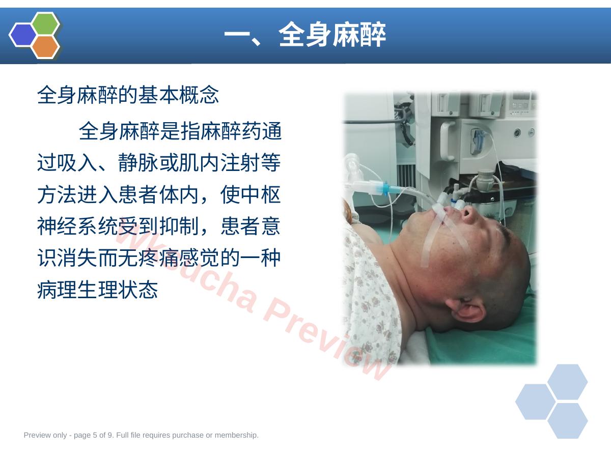 预览第 5 页