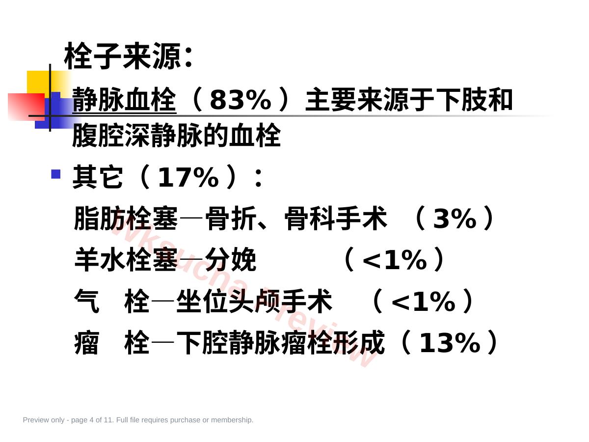 预览第 4 页