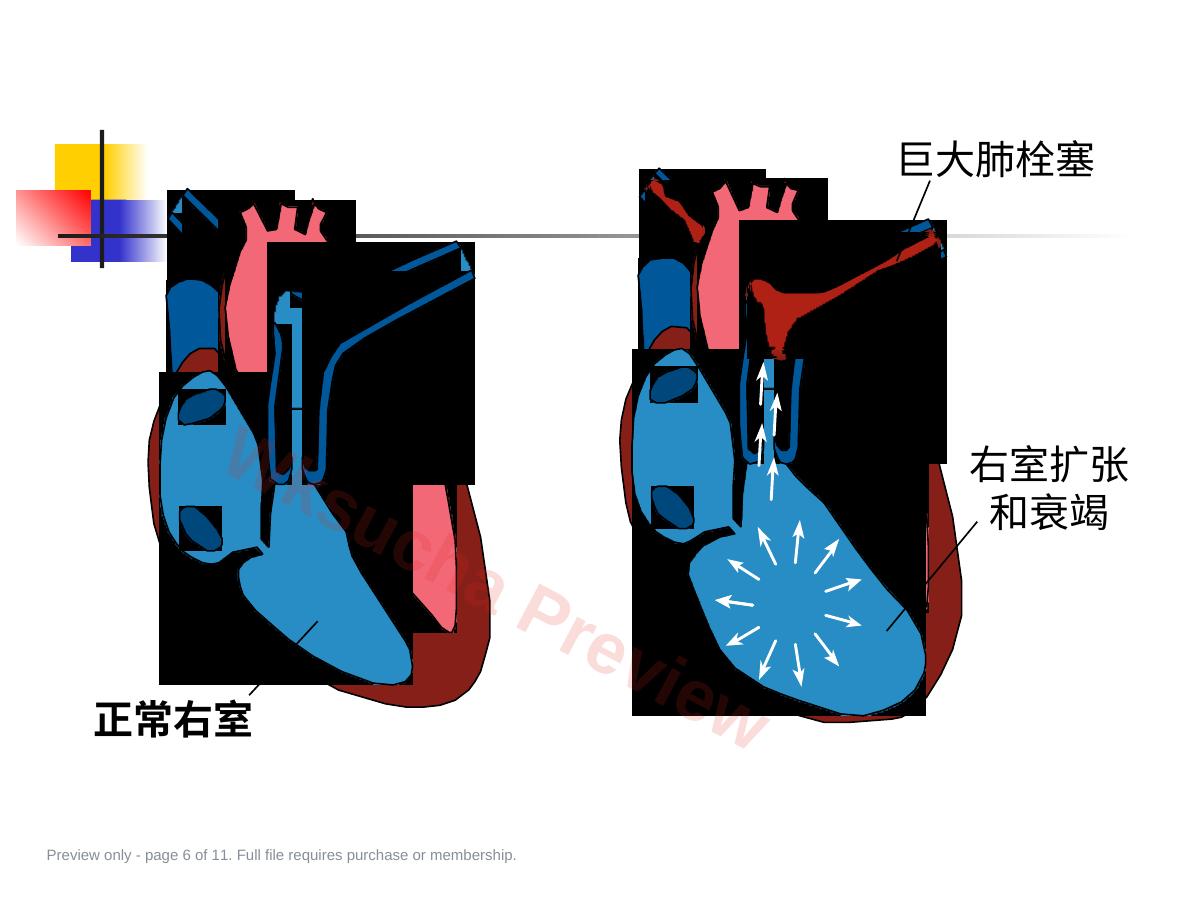 预览第 6 页