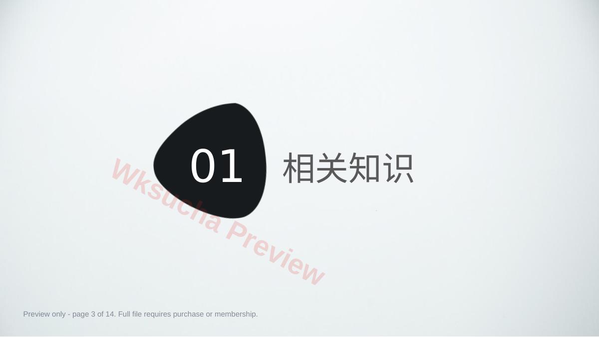 预览第 3 页