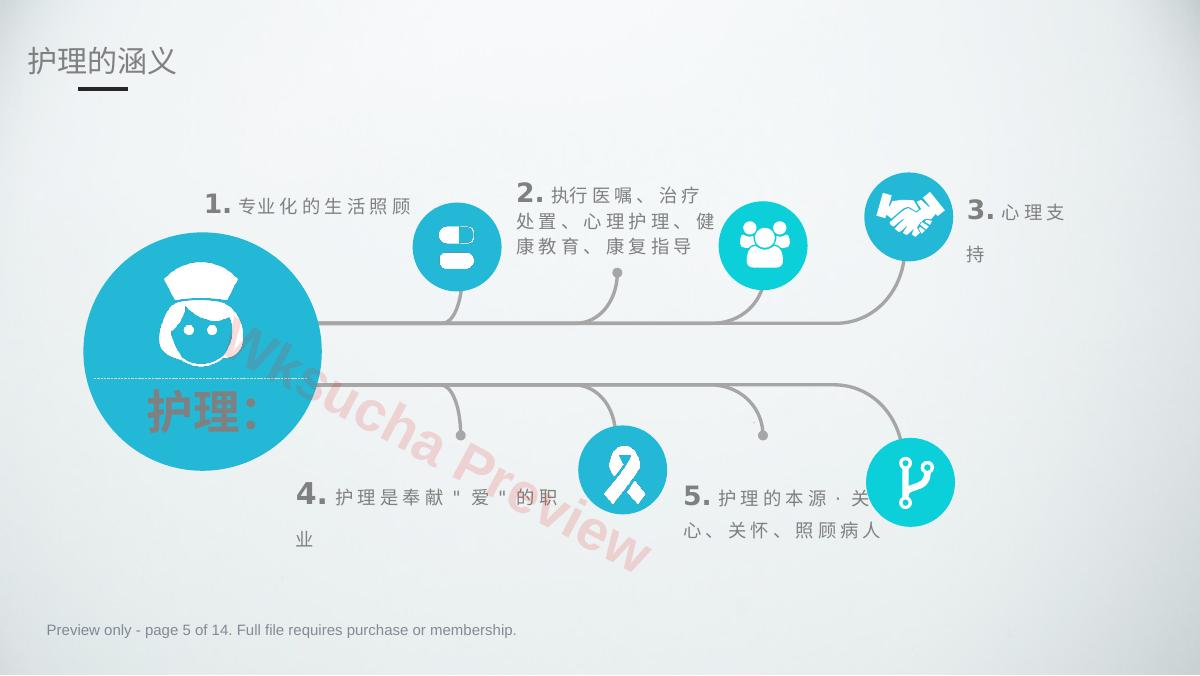 预览第 5 页