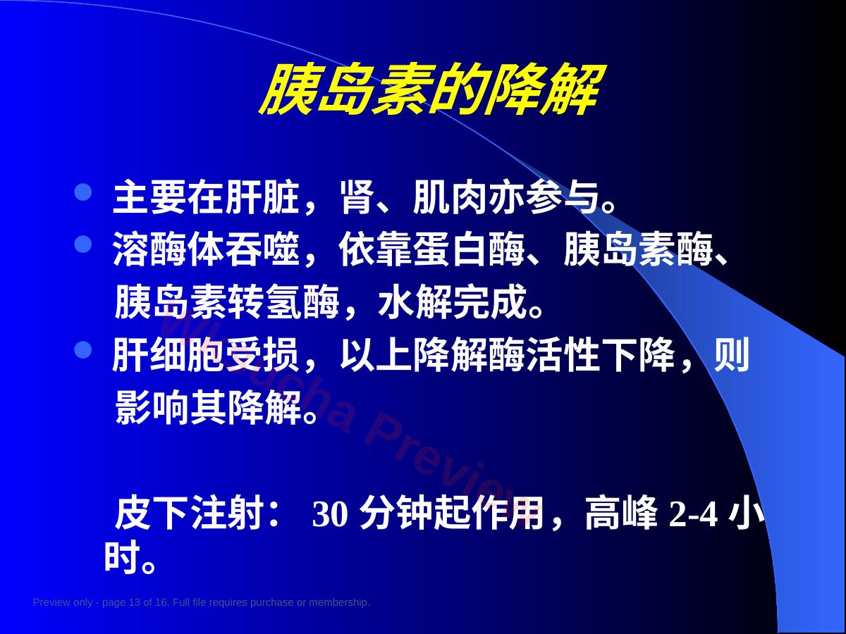 预览第 13 页