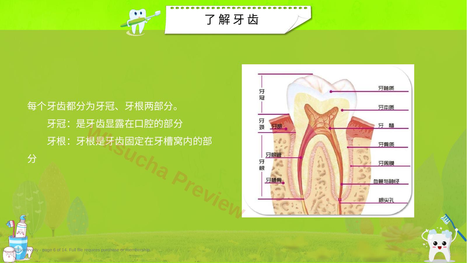 预览第 6 页