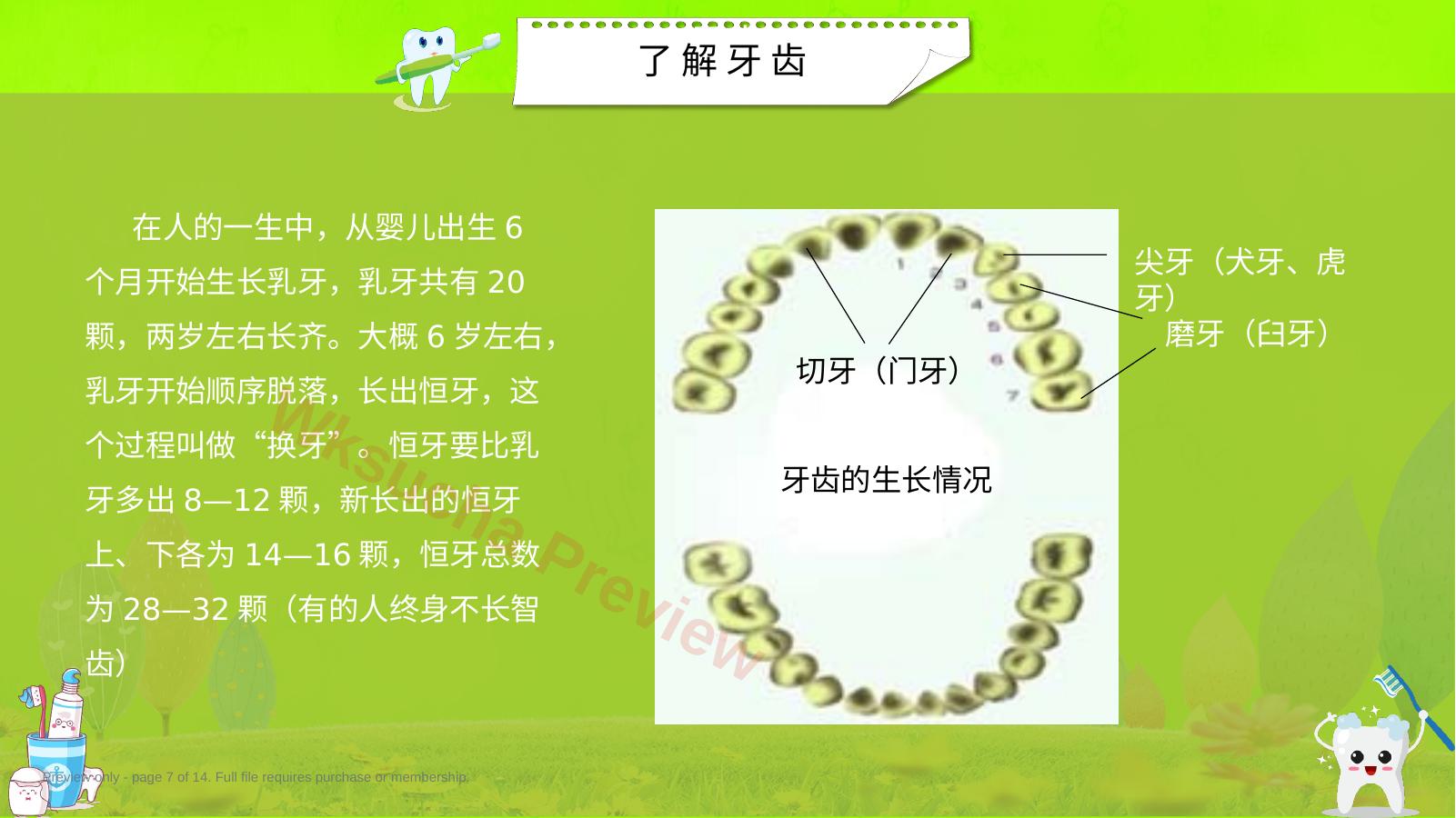 预览第 7 页