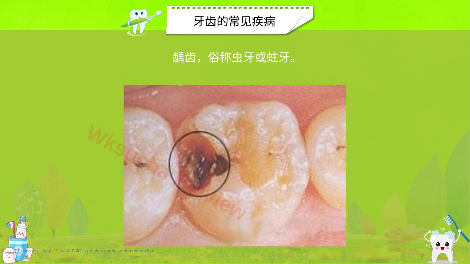 预览第 13 页