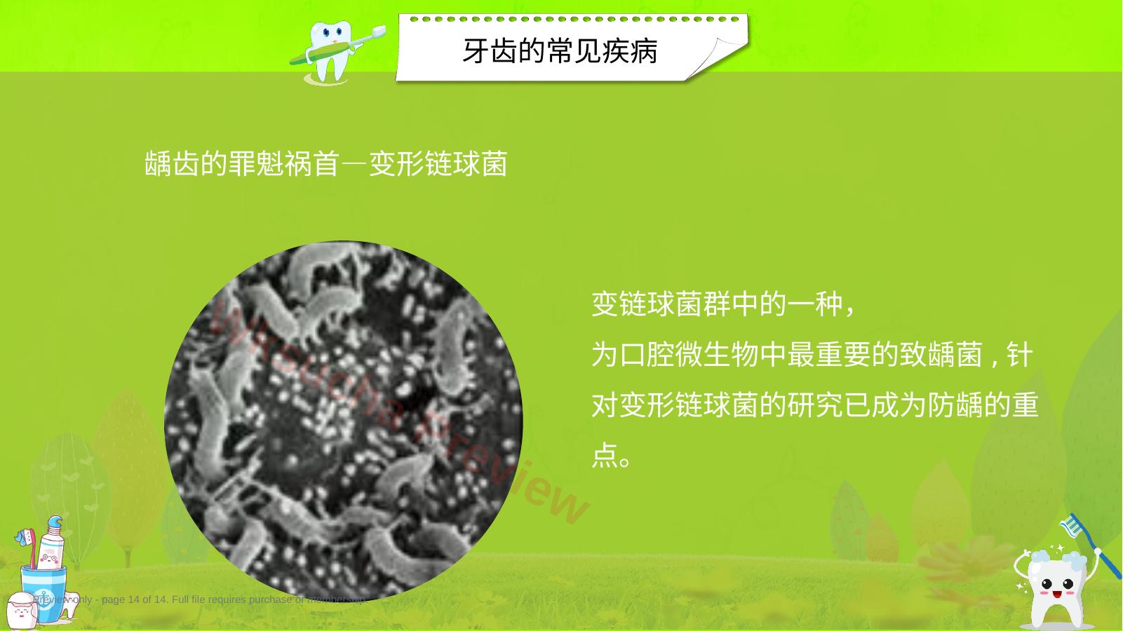 预览第 14 页