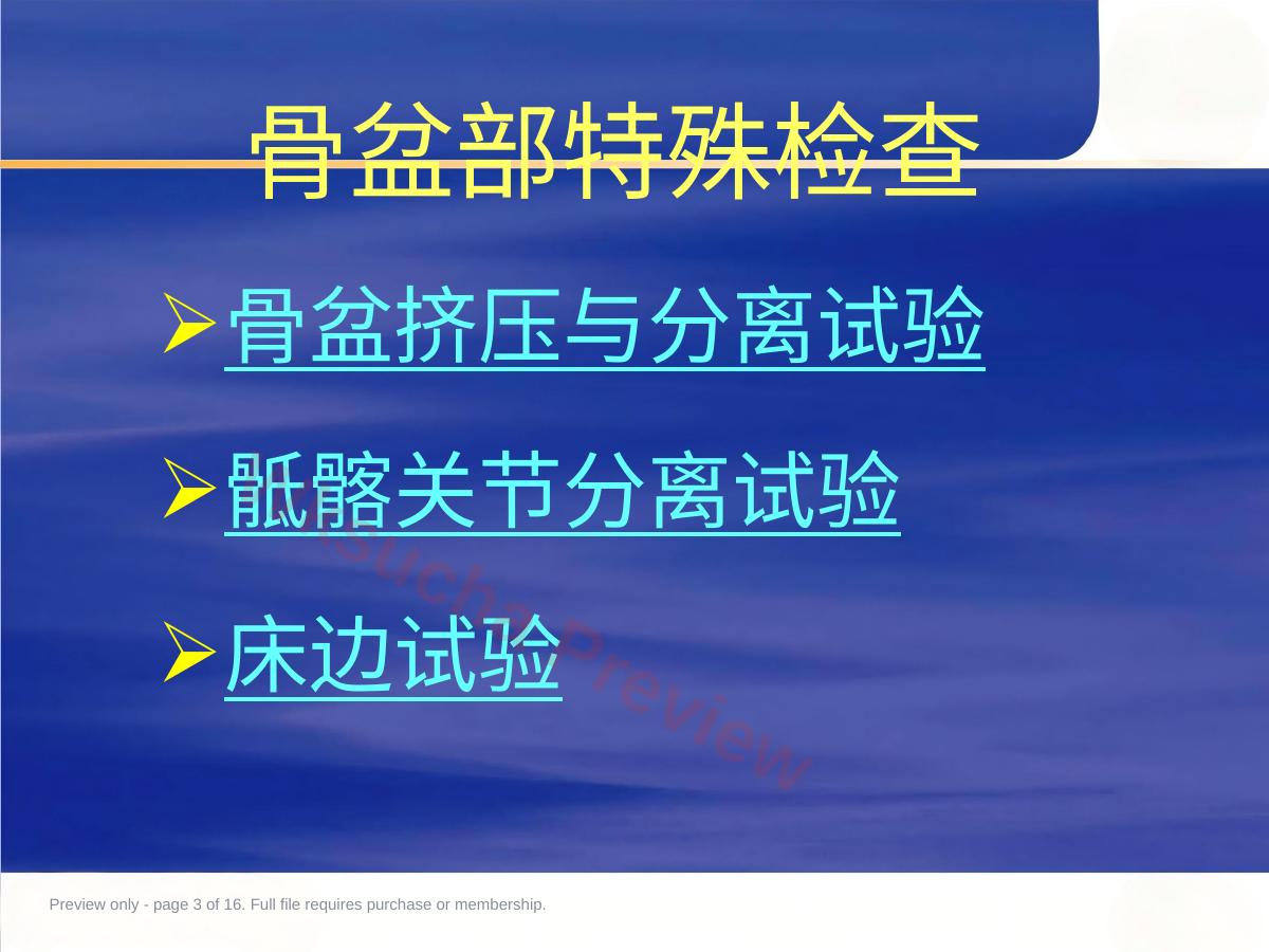预览第 3 页