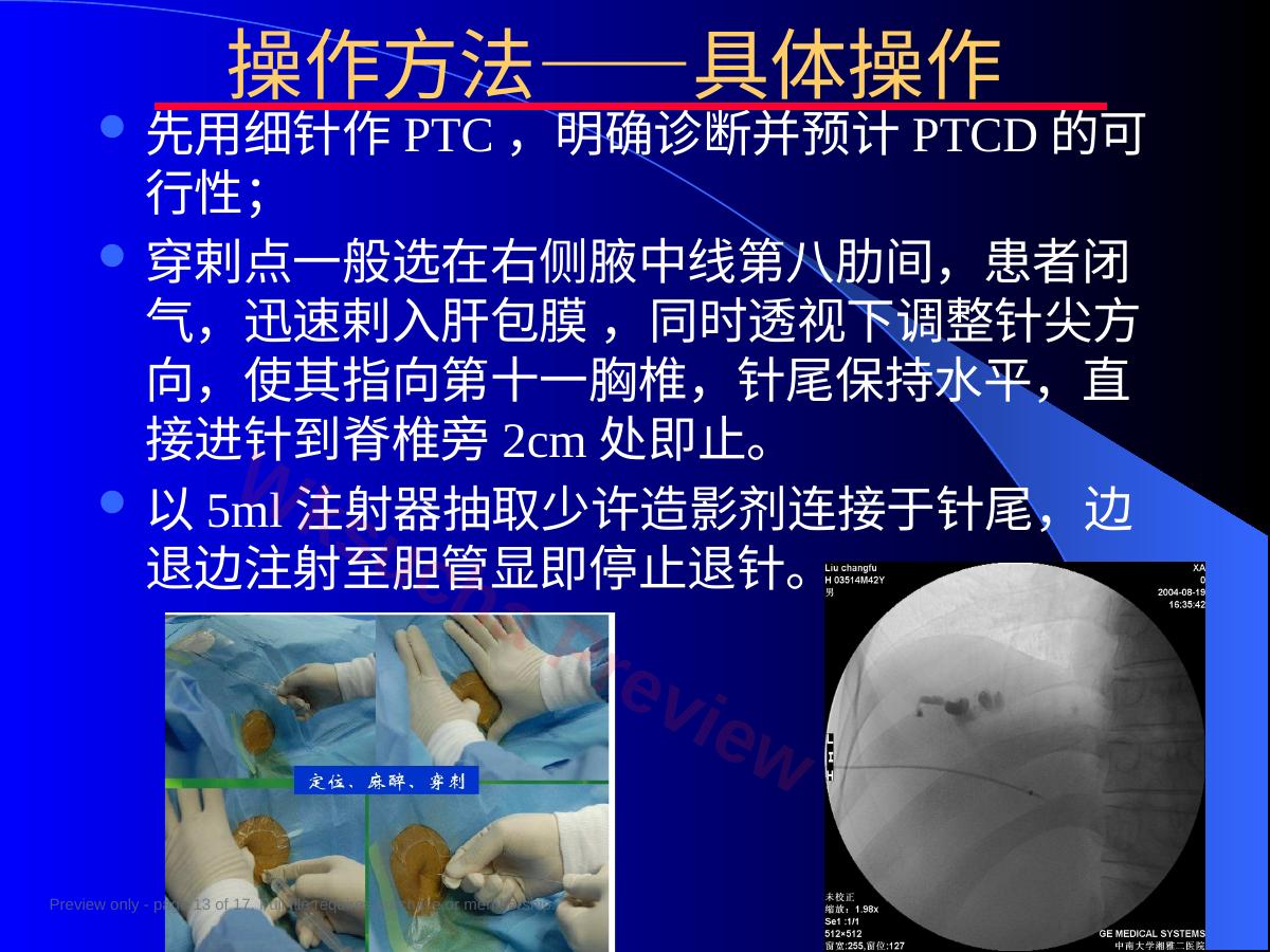 预览第 13 页