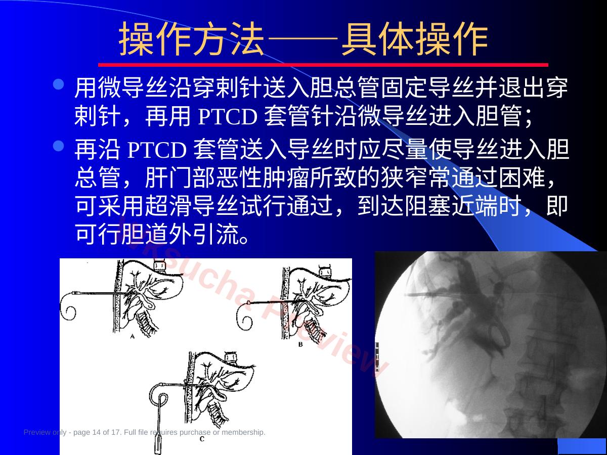 预览第 14 页