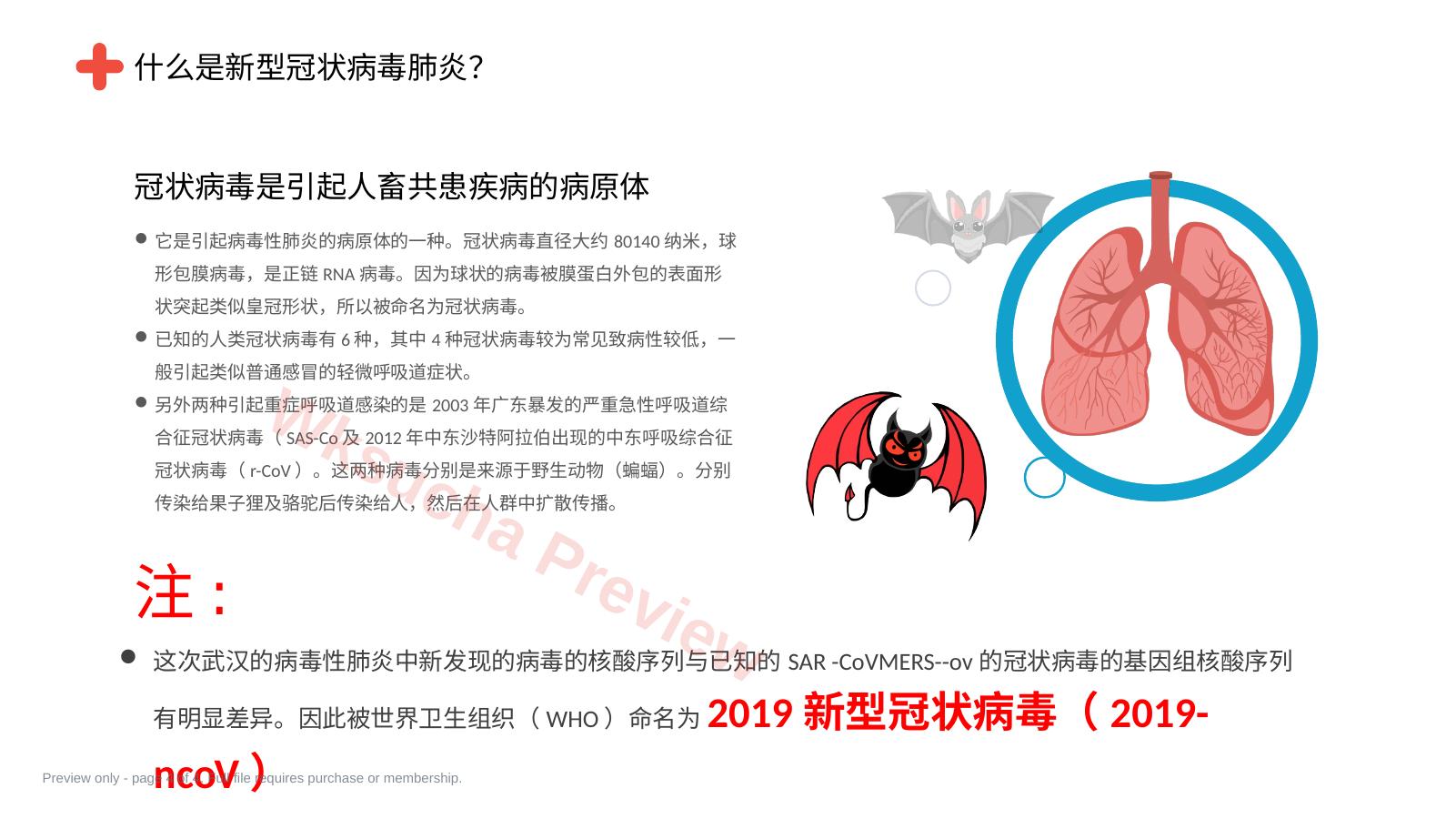 预览第 4 页